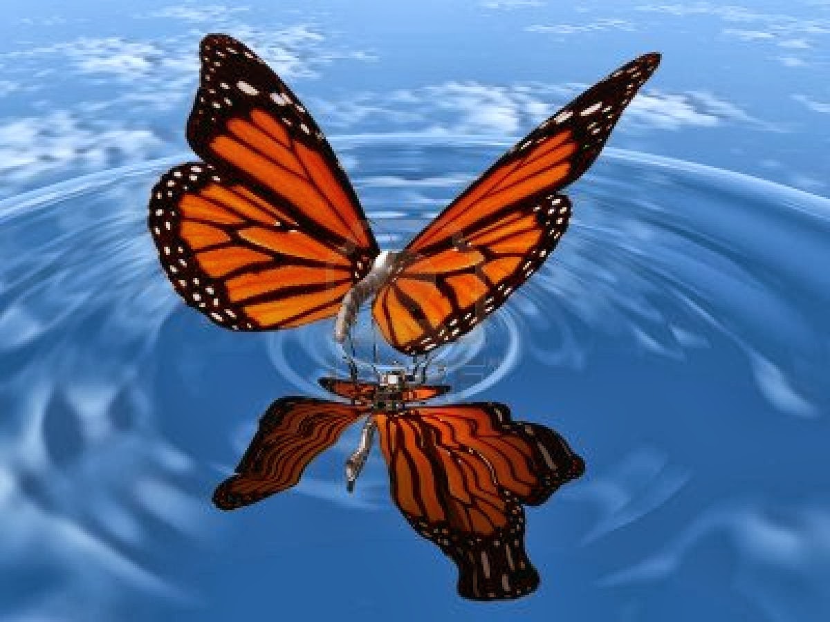 Wallpaper for Android Free live butterfly wallpaper