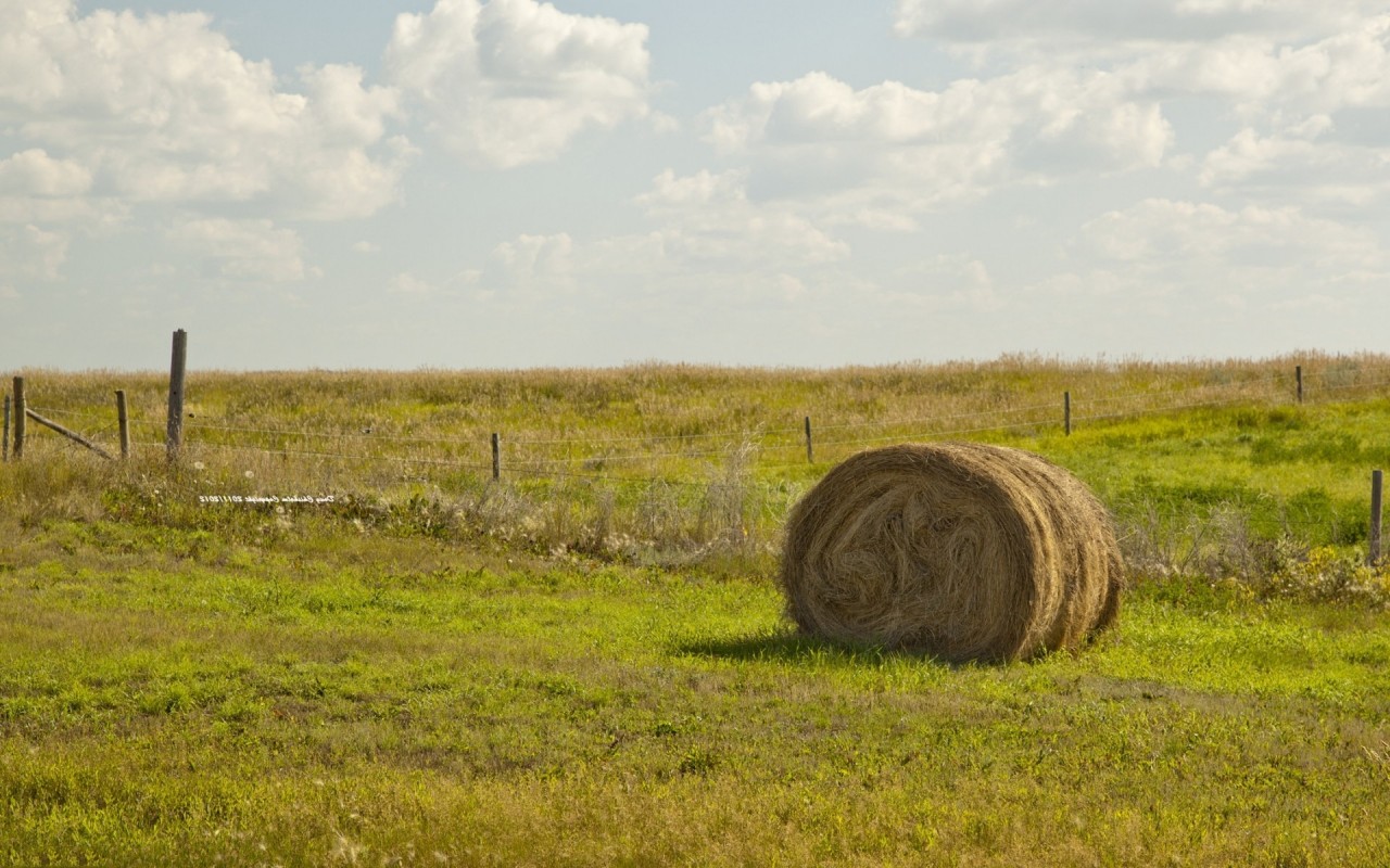 Pasture Hay Bale Fence Clouds Wallpaper