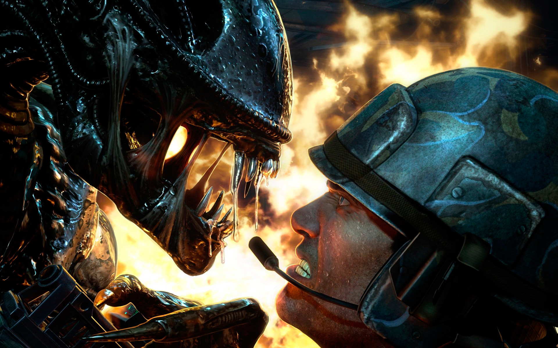 Aliens Colonial Marines Face Off Wallpaper Xbox Video Game