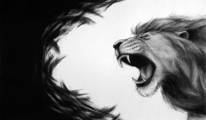 Lion Of Judah Wallpaper Forward