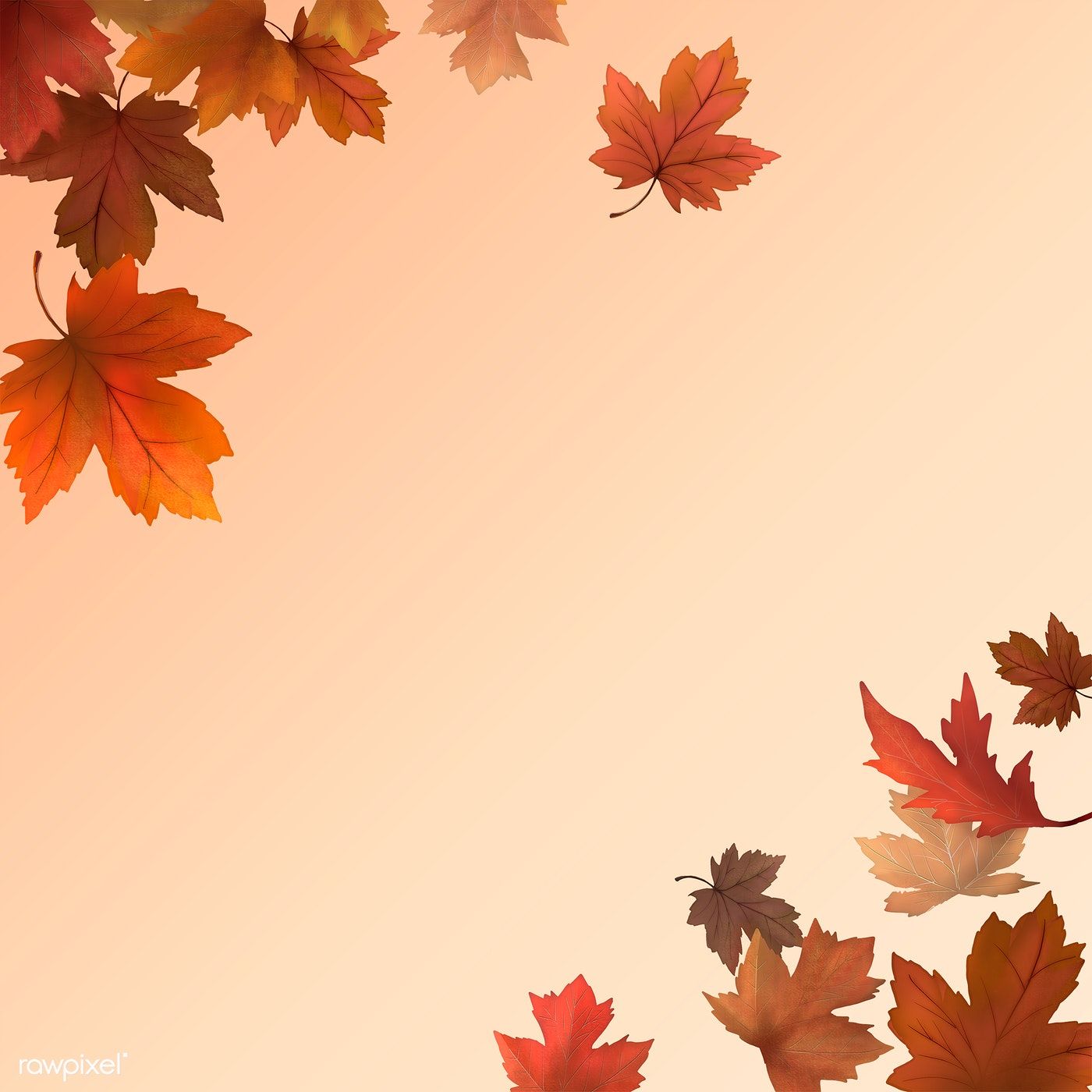 Red Maple Leaf Framed Background Illustration Image By