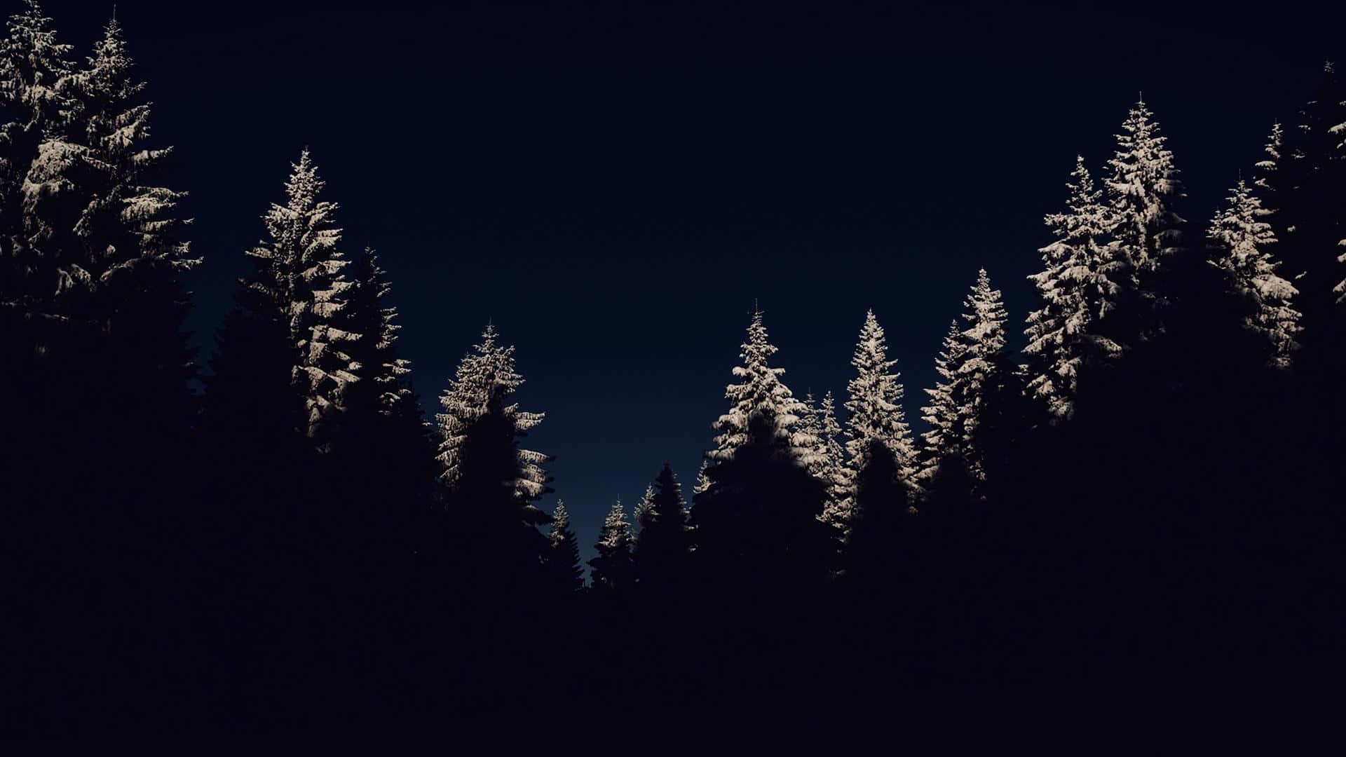 Winter Night Desktop Wallpaper