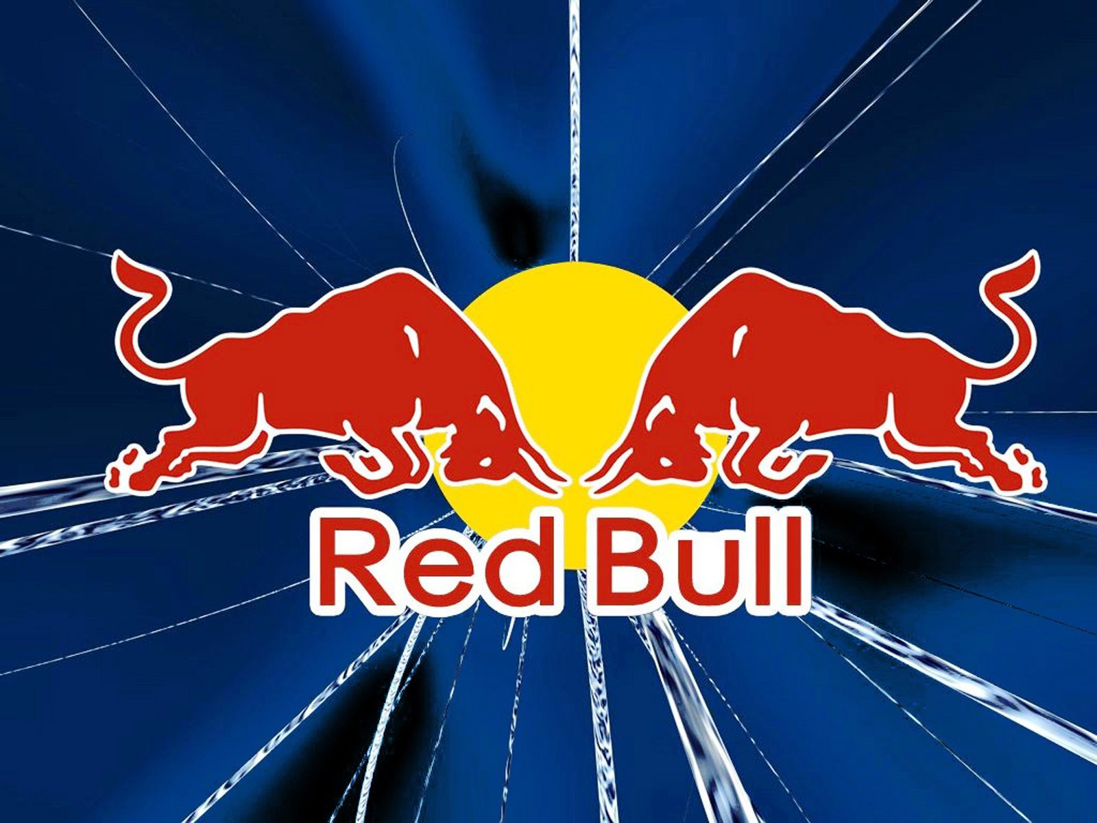 Wallpaper HD Motocross Red Bull Logo