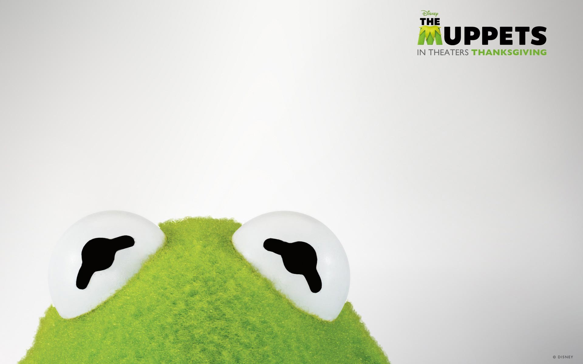 Kermit The Frog Wallpaper