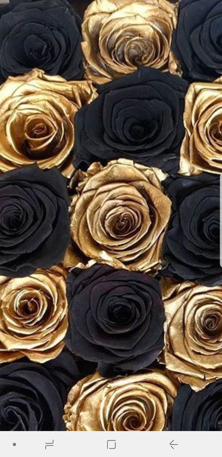 8e4023d17b6a3b2a036ad01bc982d4dc Wallpaper