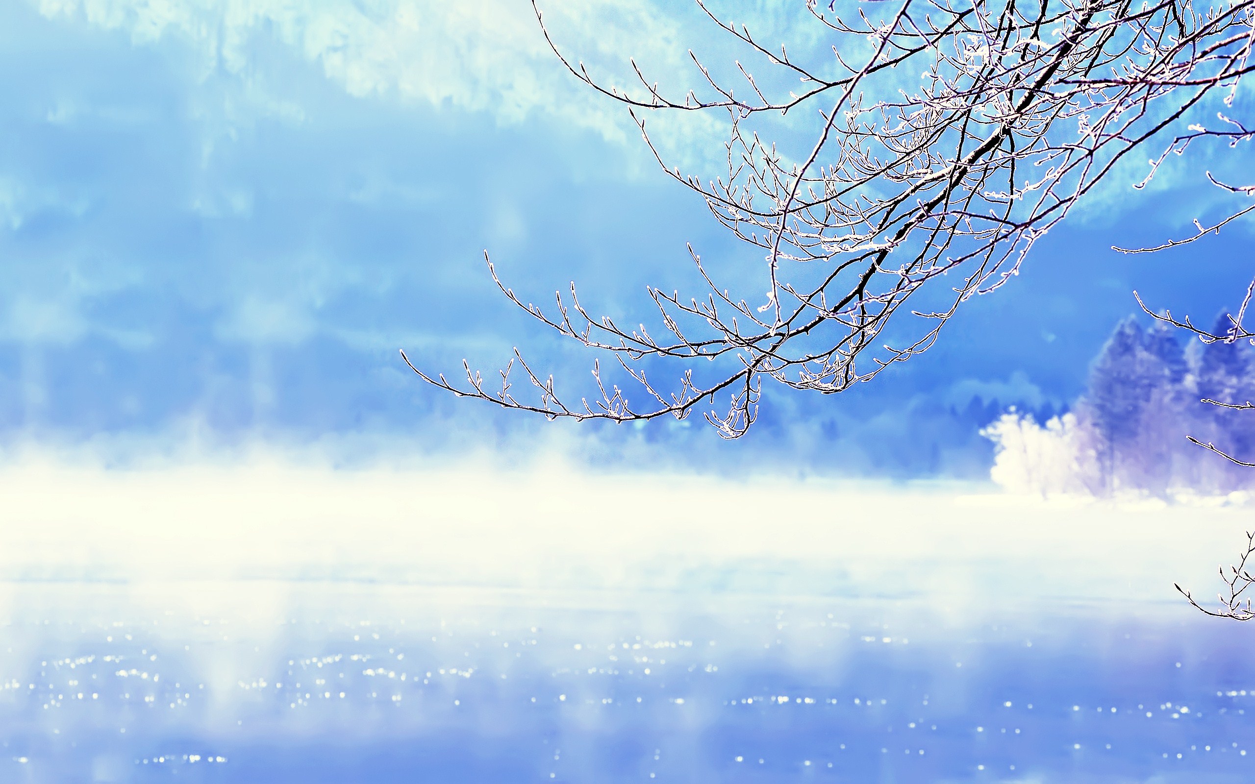Beautiful Winter Background Wallpaper High Definition