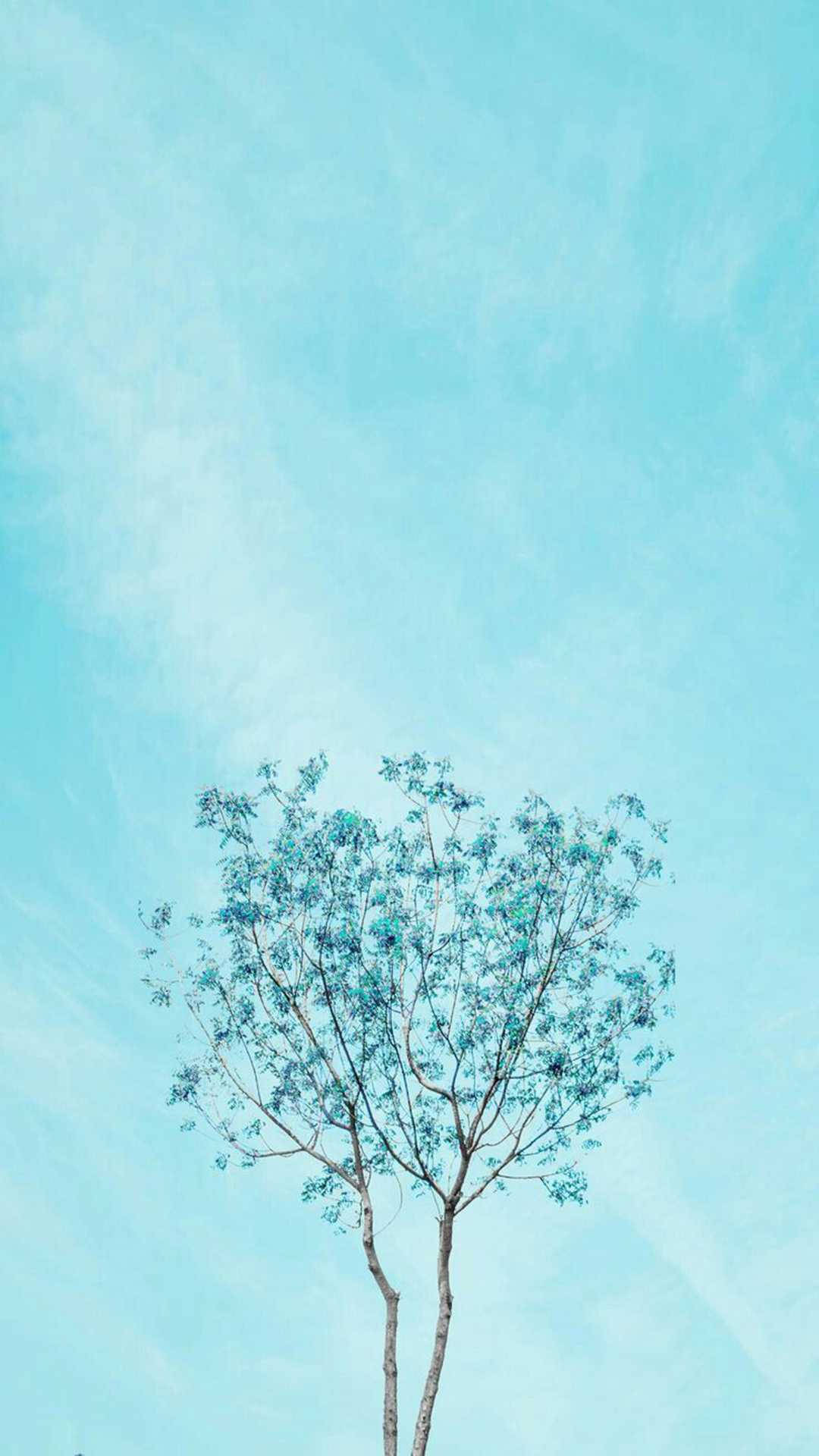 Cute Light Blue Wallpaper