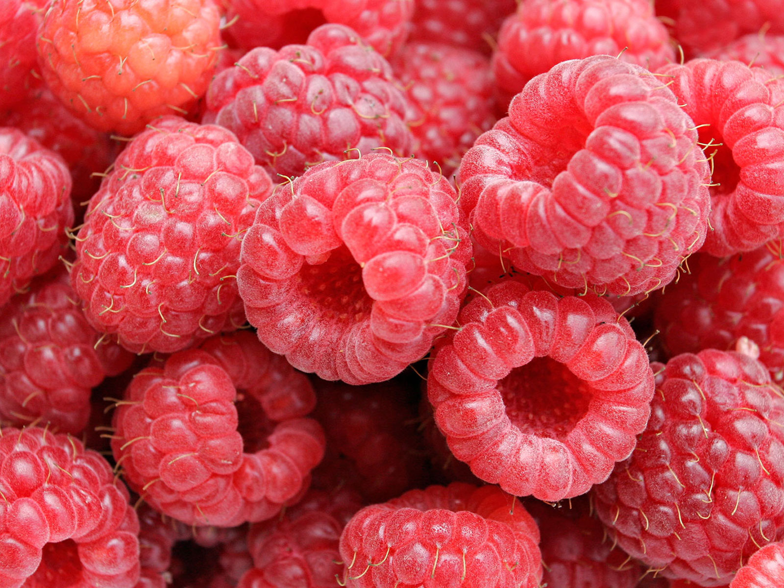 Fresh Raspberries Wallpaper