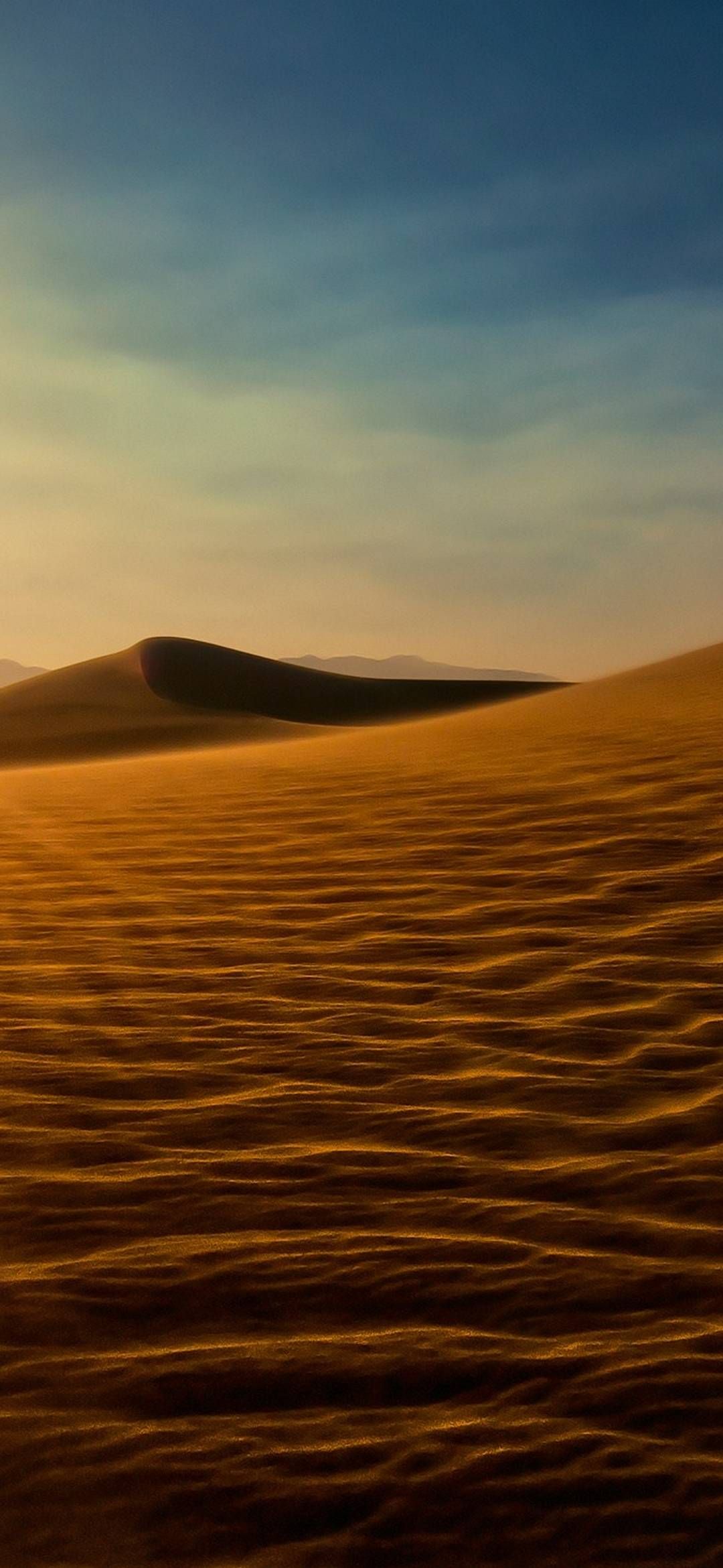 Desert Sun Sand Wallpaper