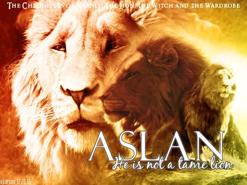 Potter Vs Narnia Image And Aslan Wallpaper Photos