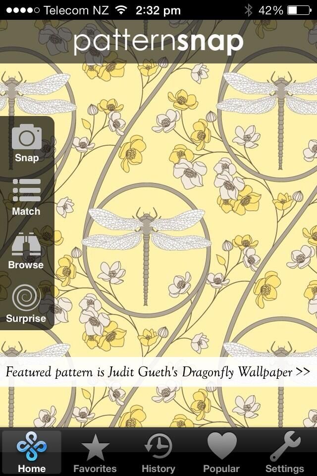 My Yellow Dragonfly Wallpaper On Pearl Mica Paper Was Featured