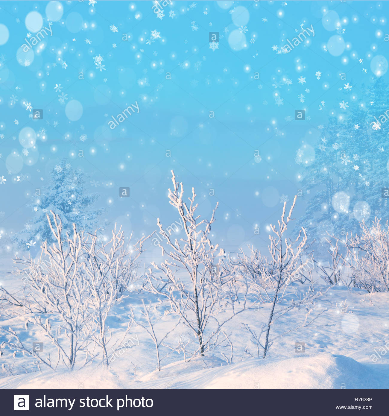 Winter Background Falling Snow Over Landscape With Copy