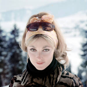 Sharon Tate HD Wallpaper