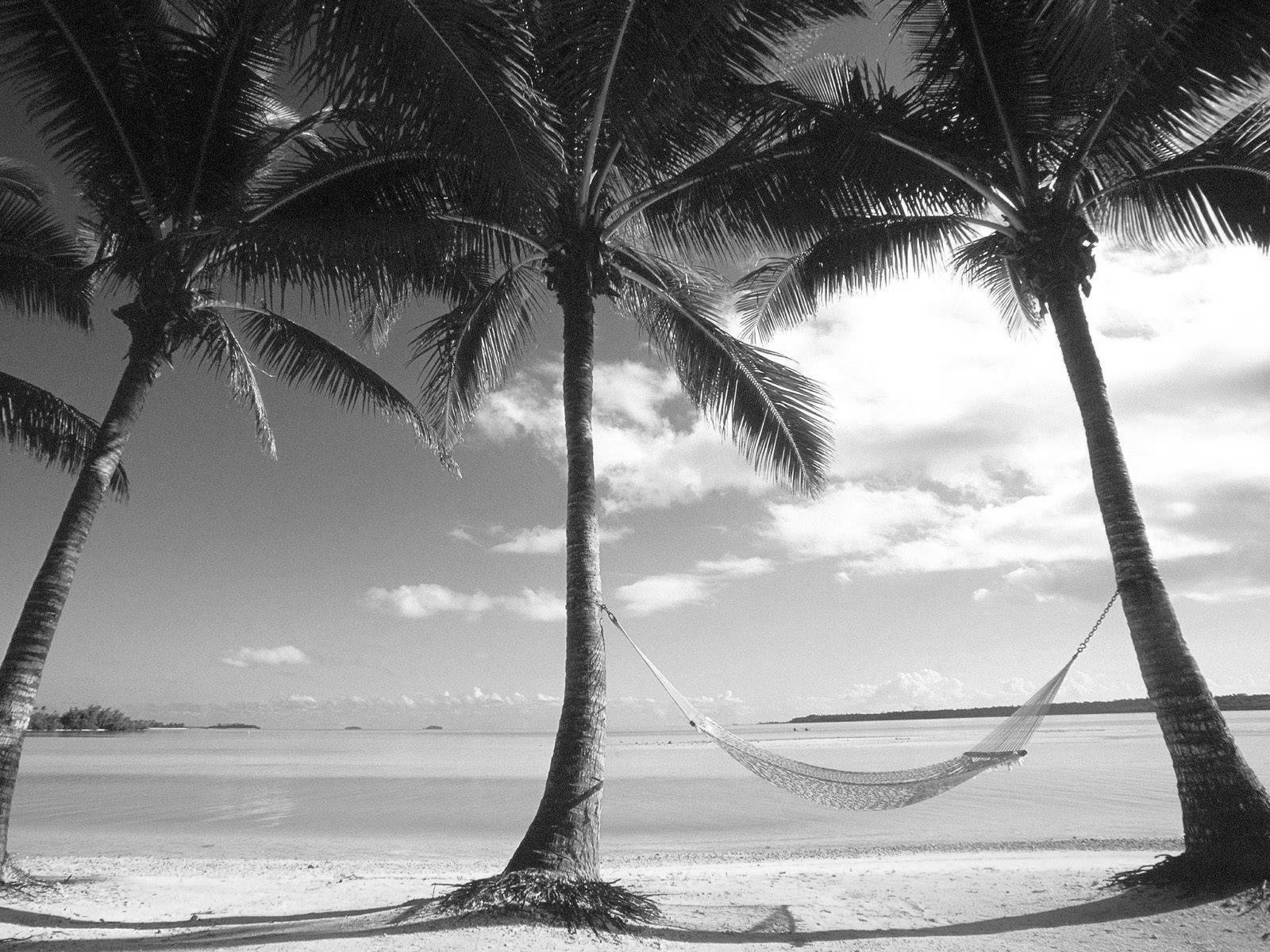 Black And White Wallpaper Beach Landscape HD
