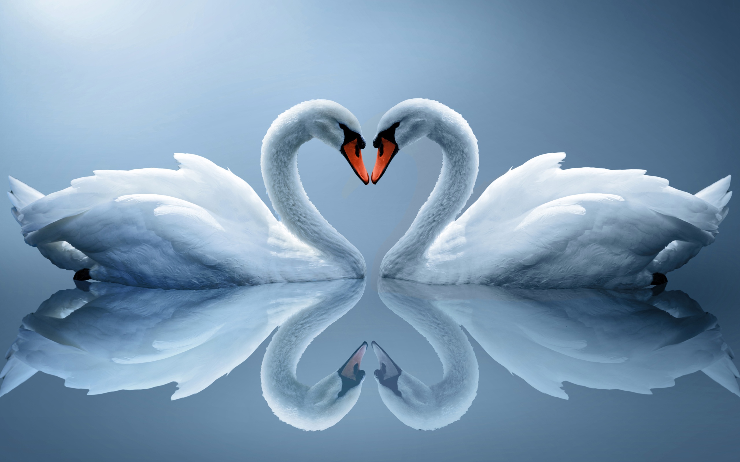 Heart Love Valentine Wallpaper Desktop