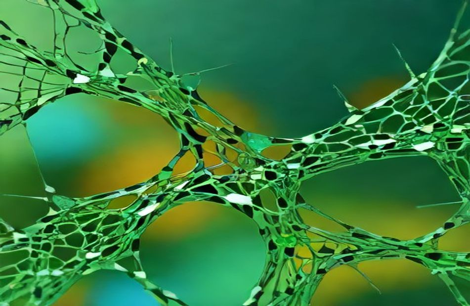 Cracked Screen Wallpaper Windows