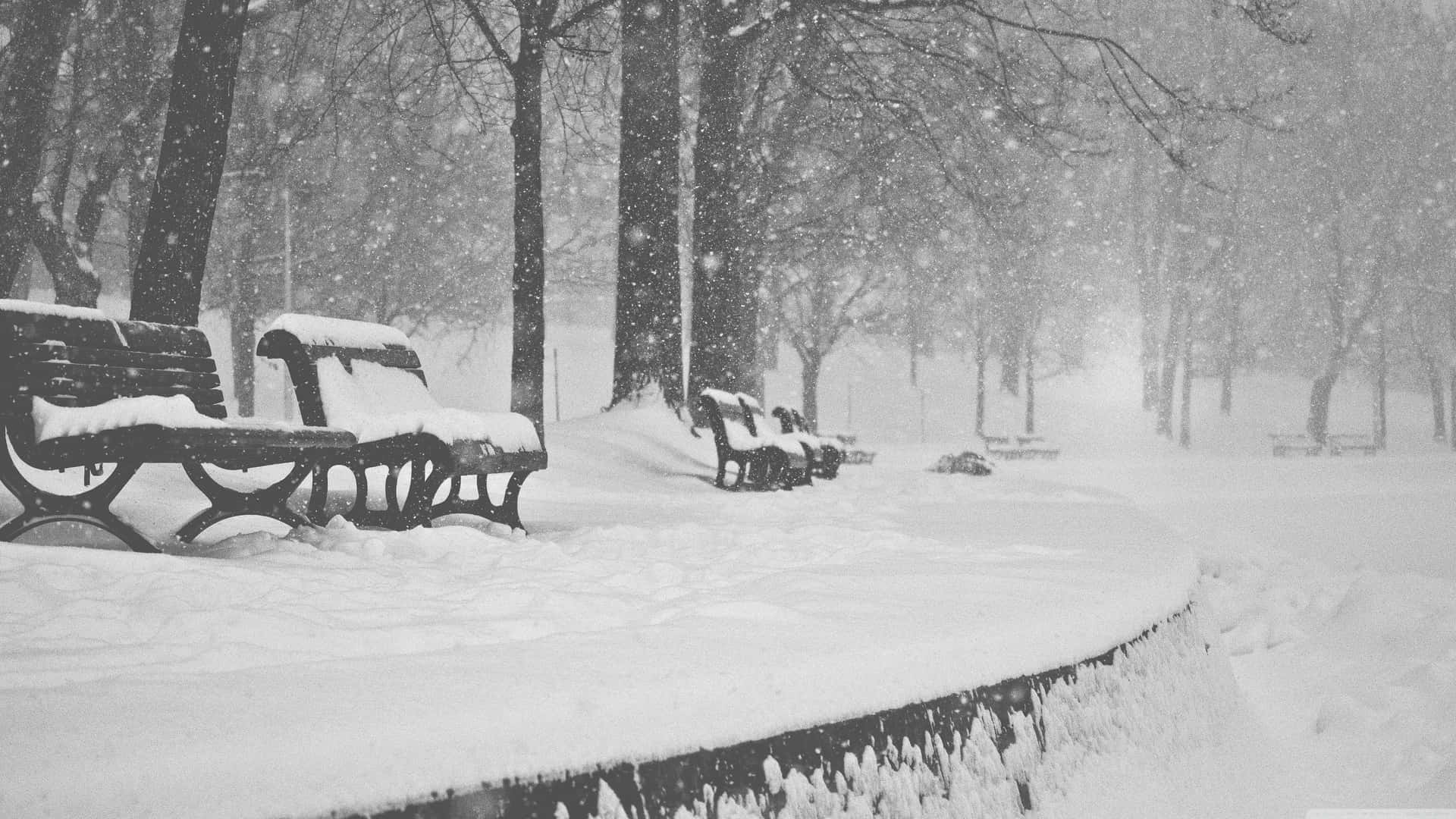 Snow Falling Wallpaper