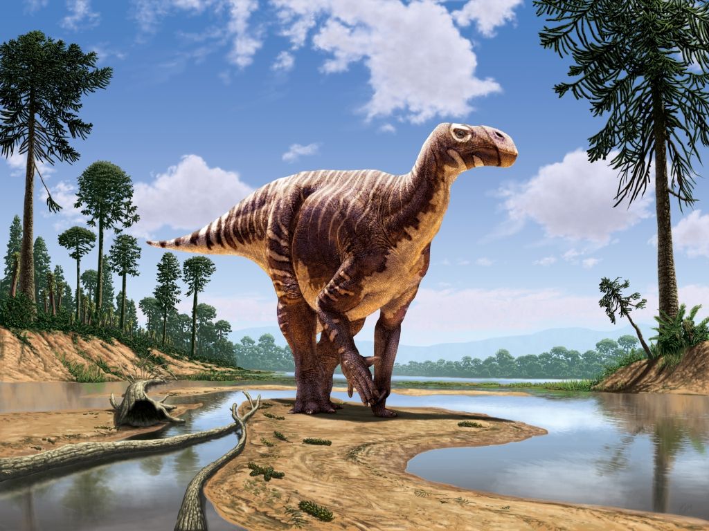 Iguanodon Bernissartensis By Julius T Csotonyi Dinosaurs