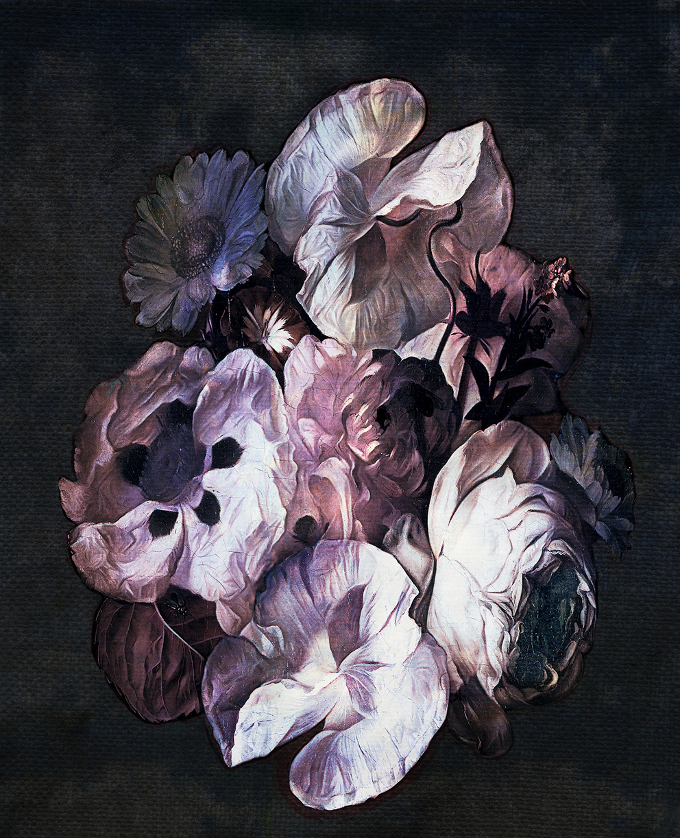 Wallpaper Fleur By La Aurelia From The Secret Garden Collection