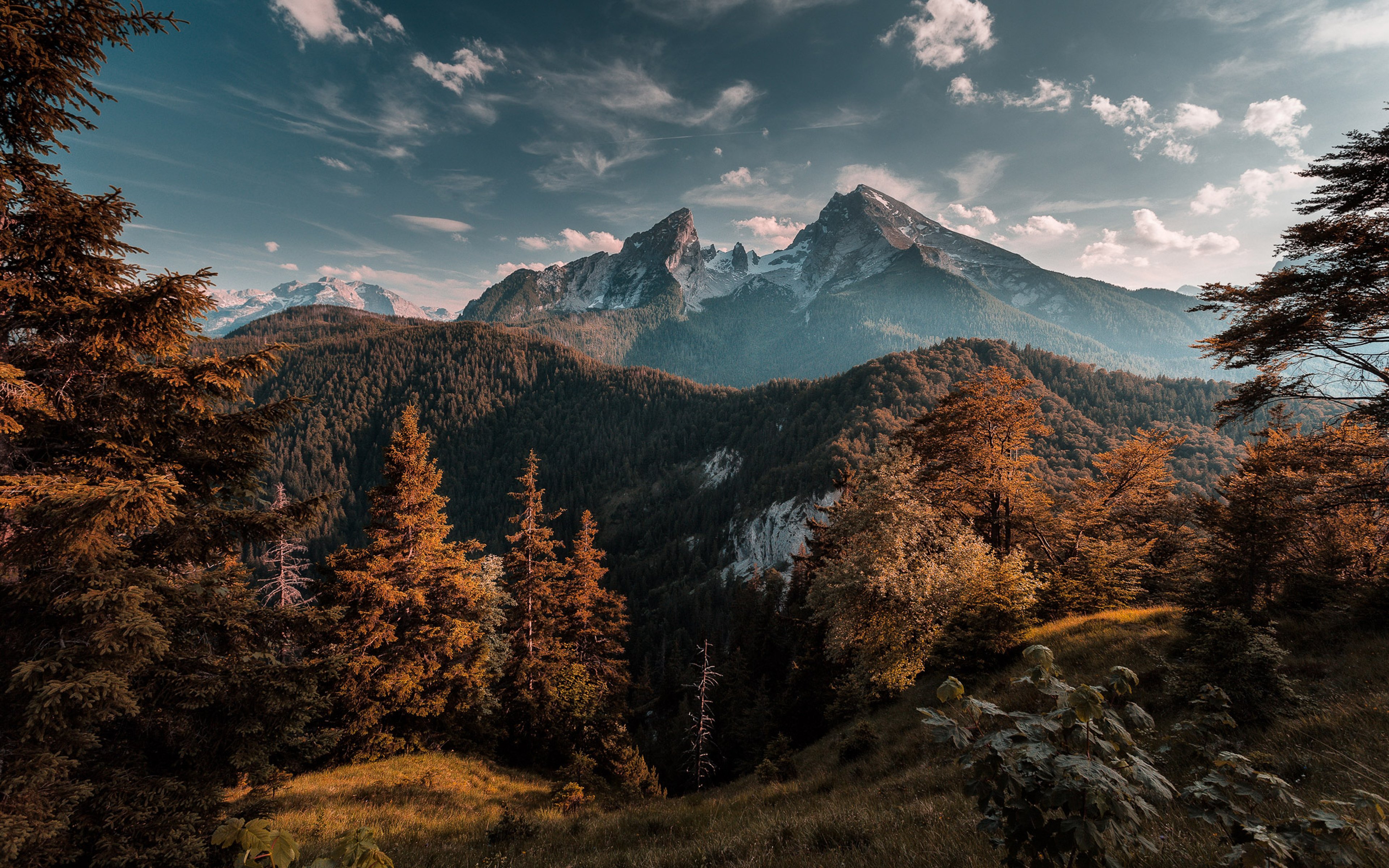 Forest Mountains 4k HD Wallpaper Image Photos And Picture