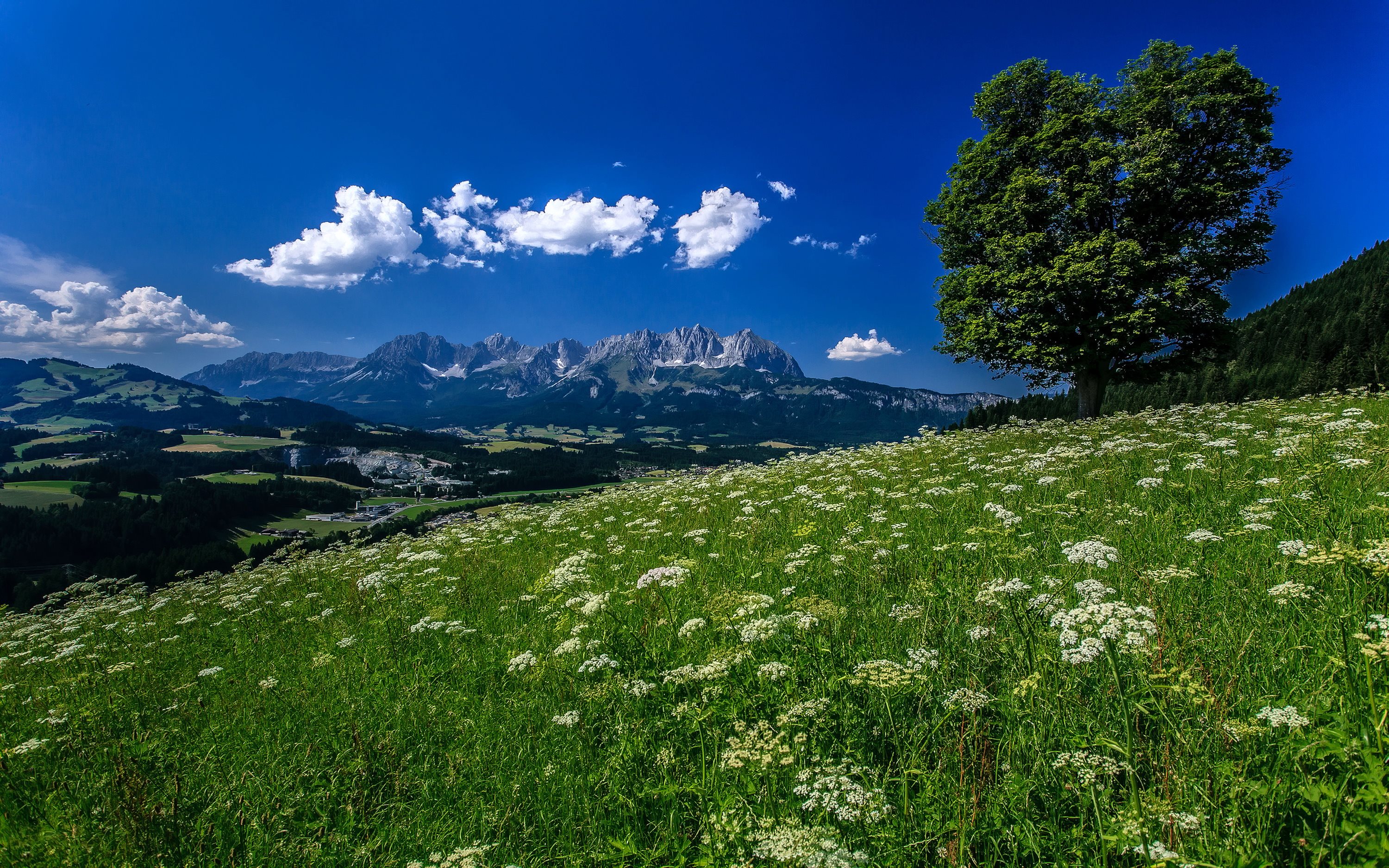 Tyrol Austria Wallpaper Austrian Alps X Natur