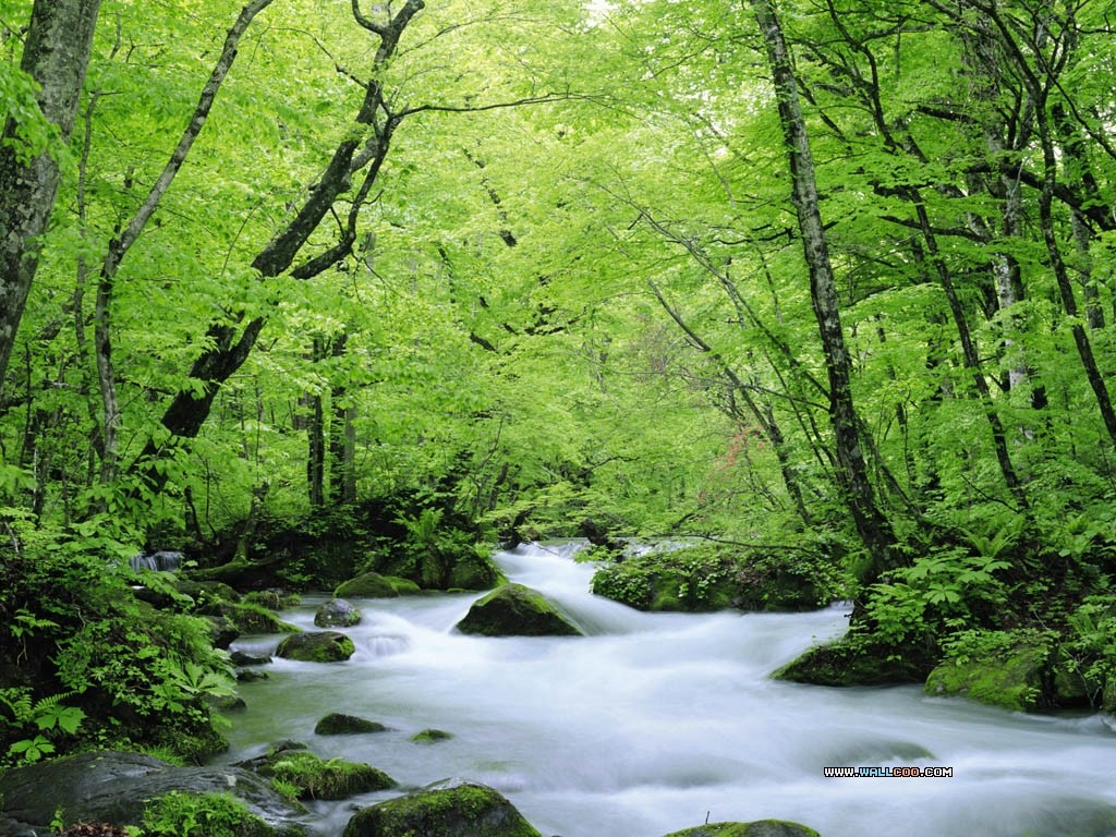 Nature Wallpaper River Pictures