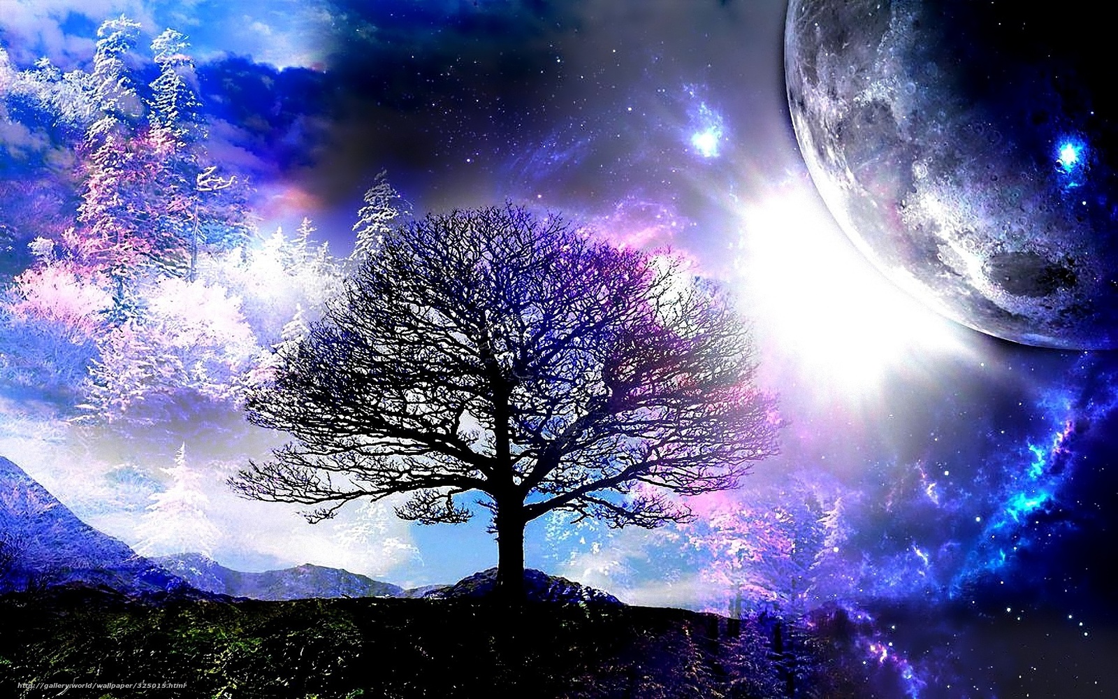 Tree Of Life Desktop Background Images amp Pictures   Becuo