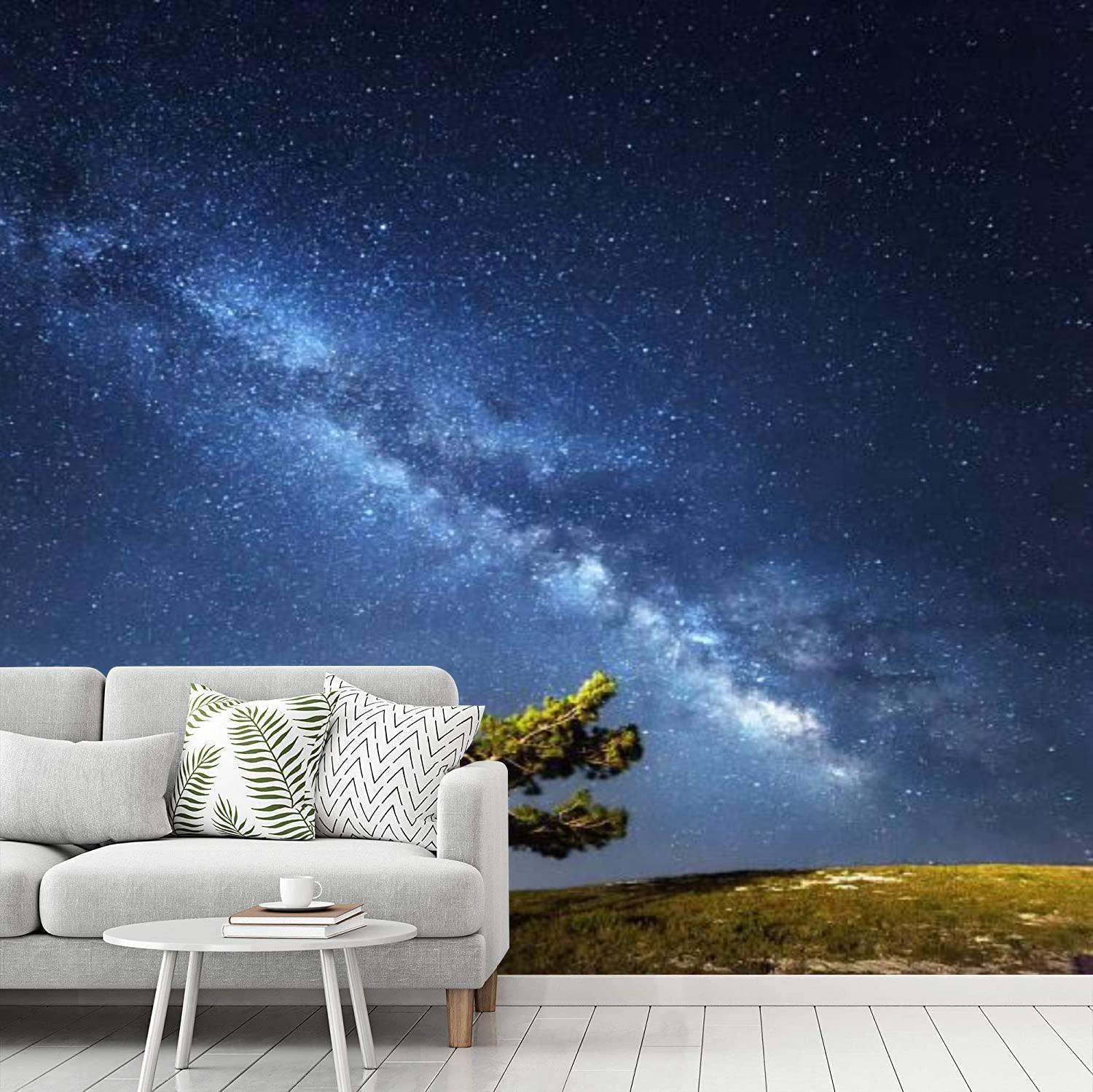 Peel And Stick Wallpaper Milky Way Beautiful Summer Night Sky With