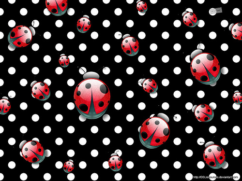Cute Ladybug Desktop Wallpaper 2817659054 Jpg