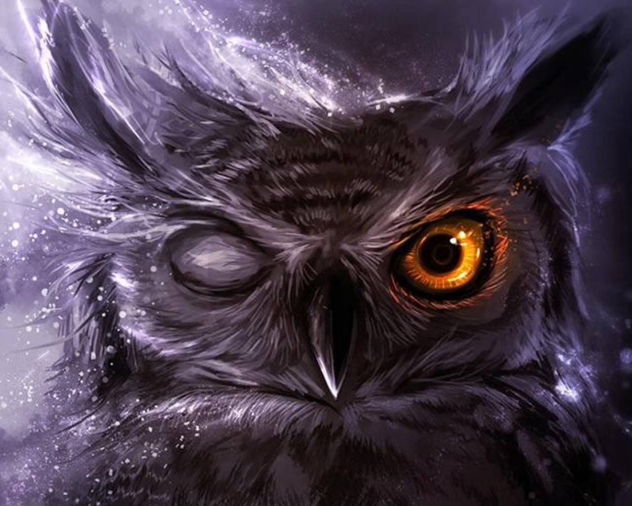 Owl High Quality And Resolution Wallpaper On Hqwallbase