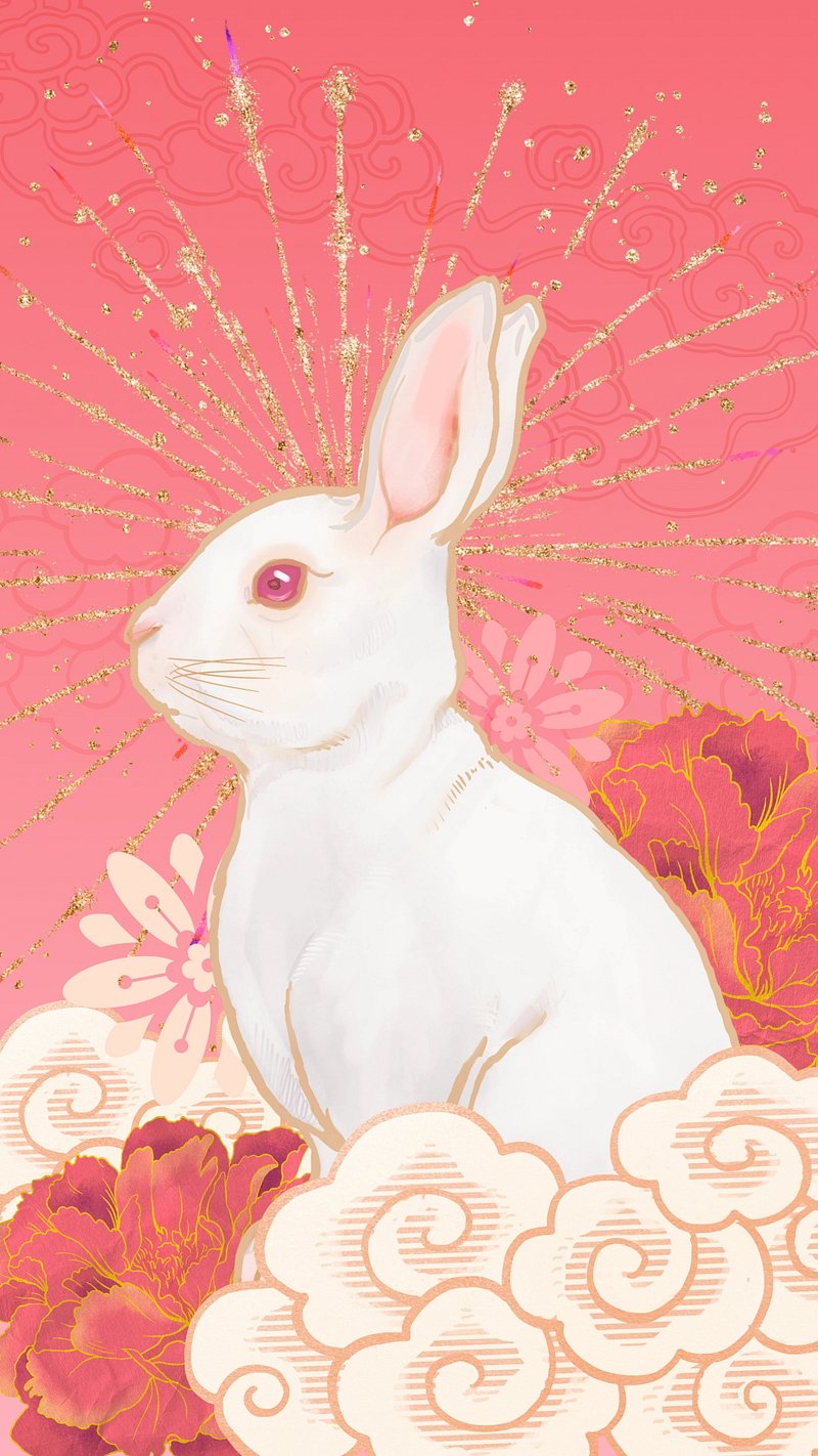 Cute Aesthetic Bunny Image Wallpaper