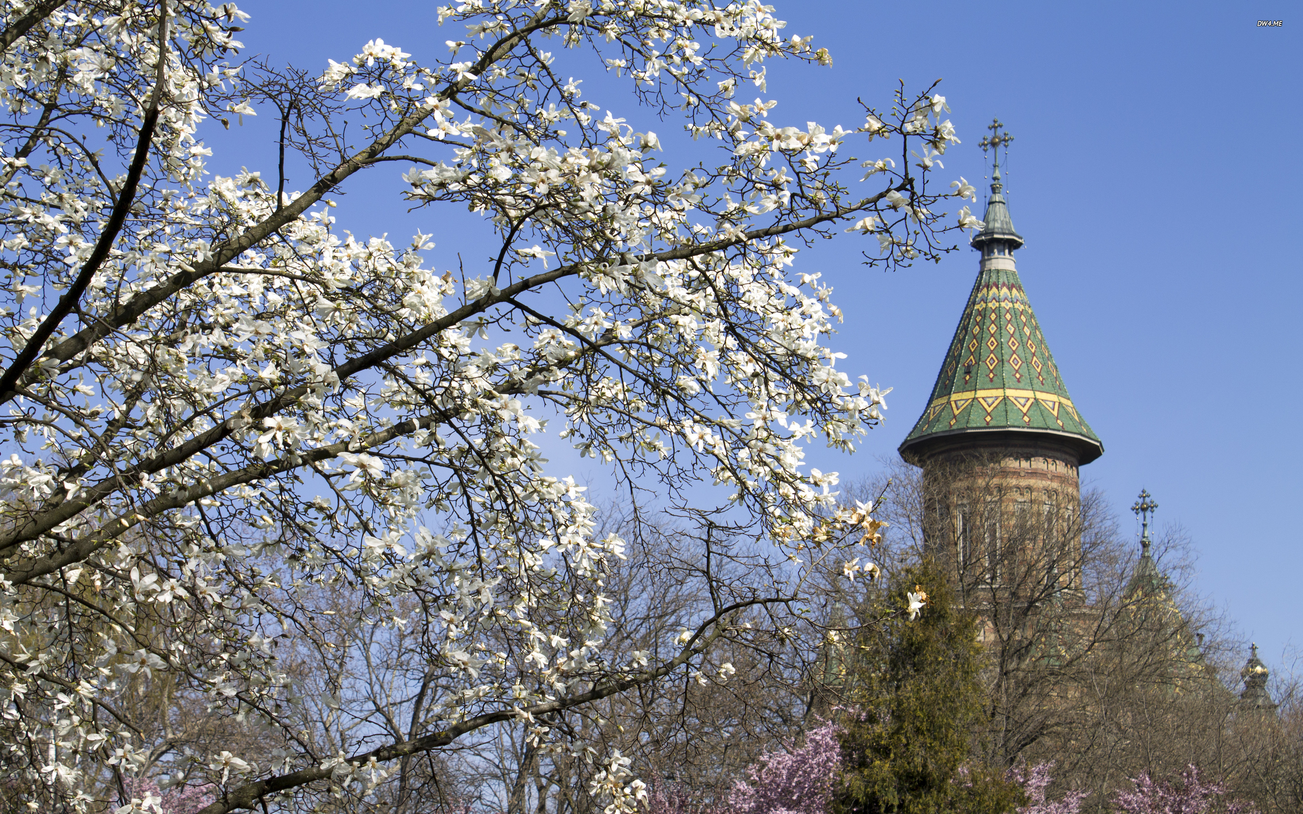 Orthodox Cathedral In The Spring Wallpaper World