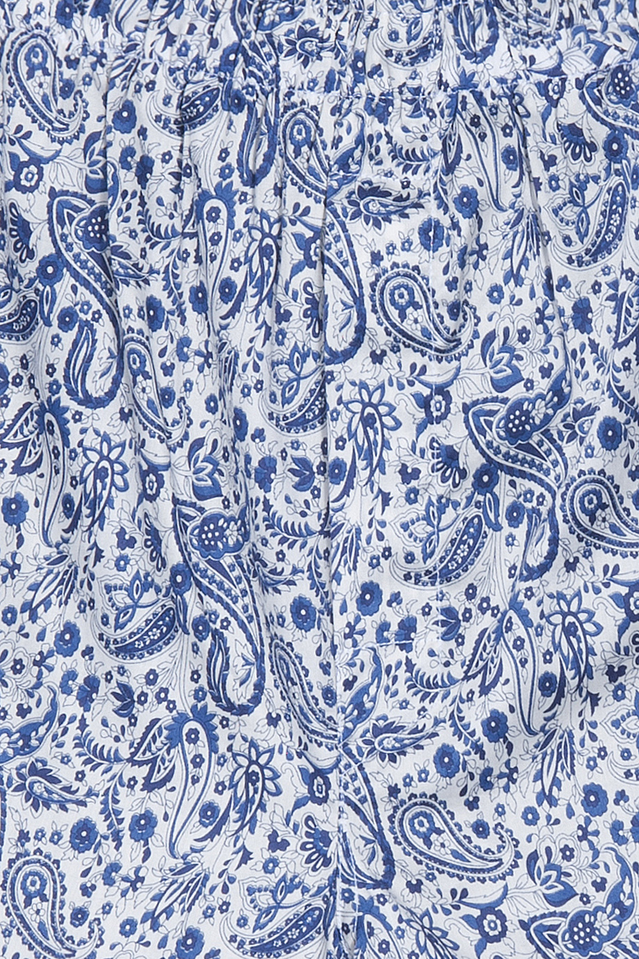 Blue Paisley Pattern Two Toned