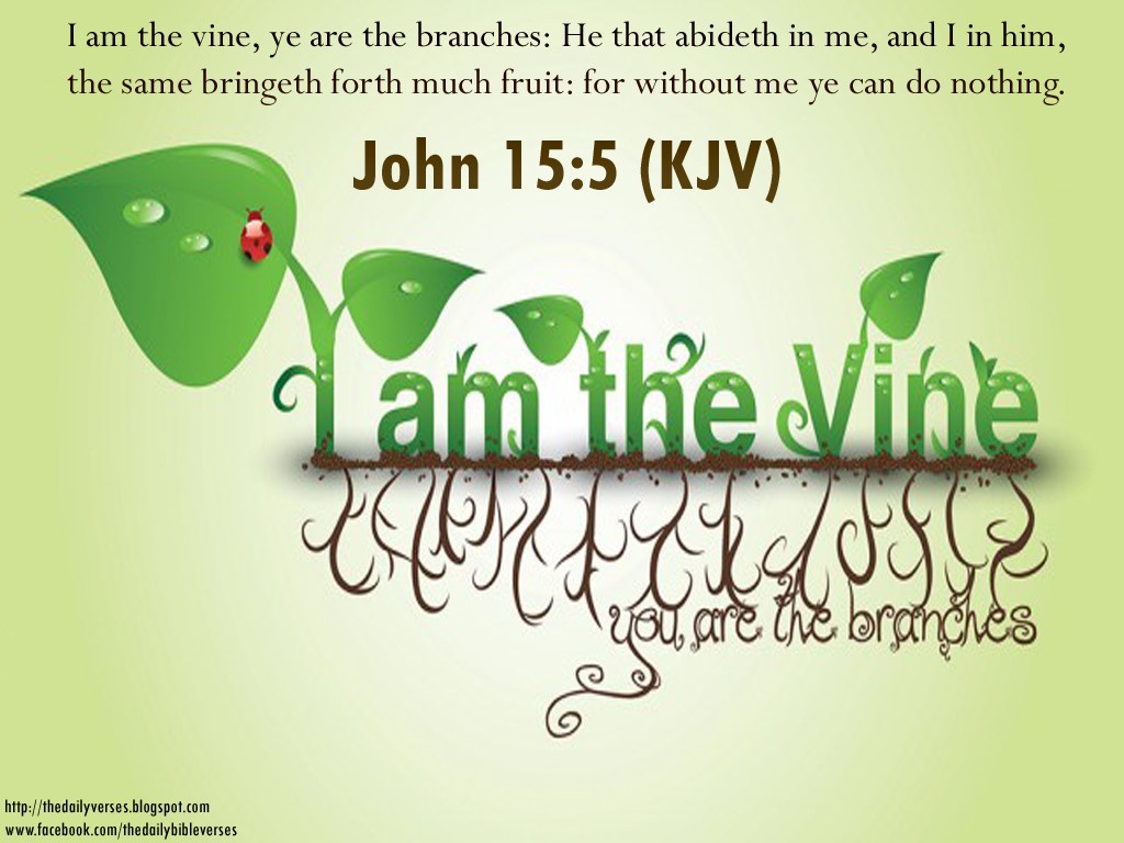 The King James Bible Verses Quotes Passages And Scriptures