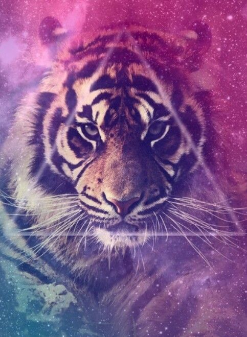 Free Download Lion Galaxy Galaxy Pinterest 483x660 For Your