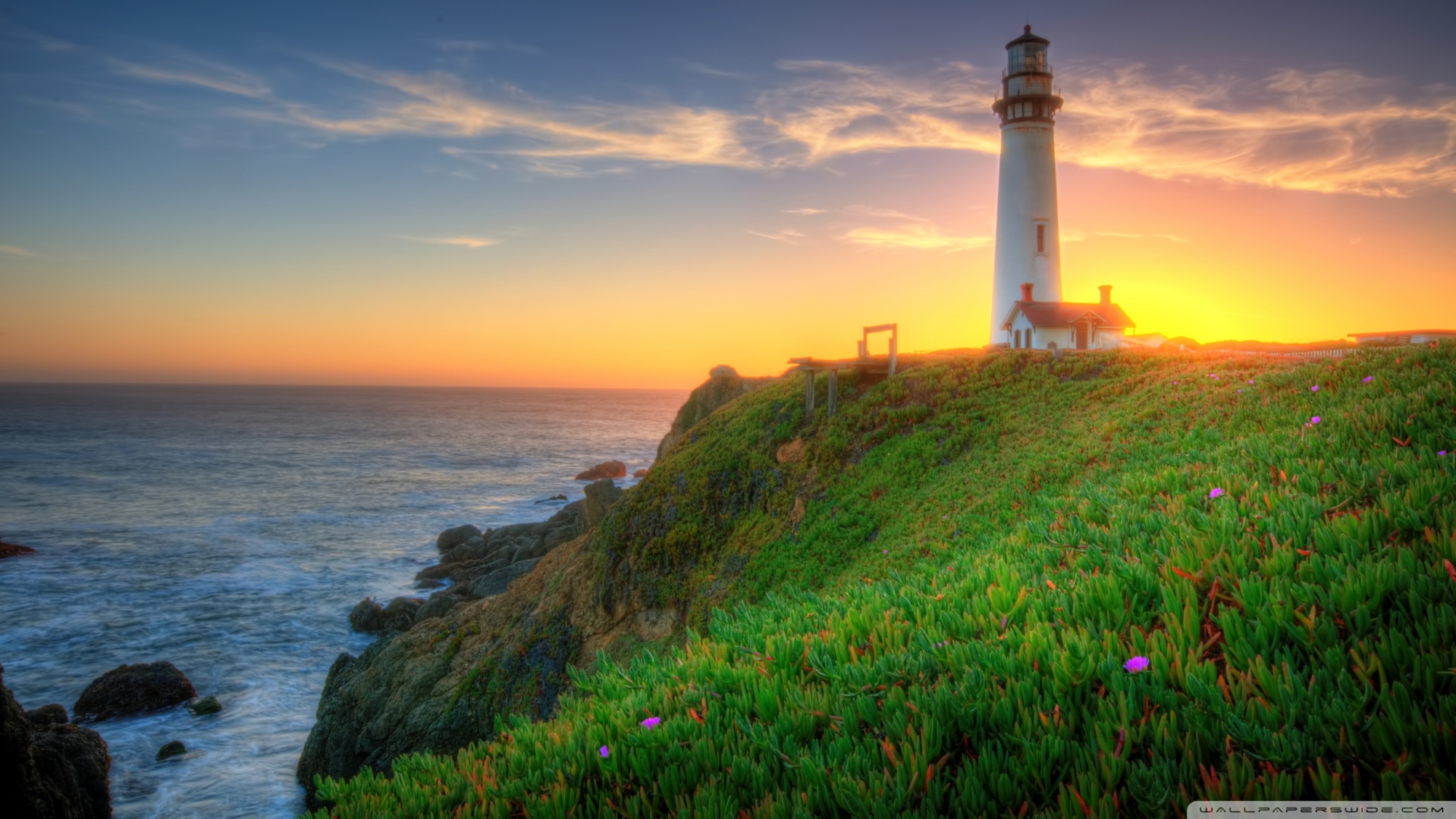 Lighthouse California Wallpaper Pigeon Point
