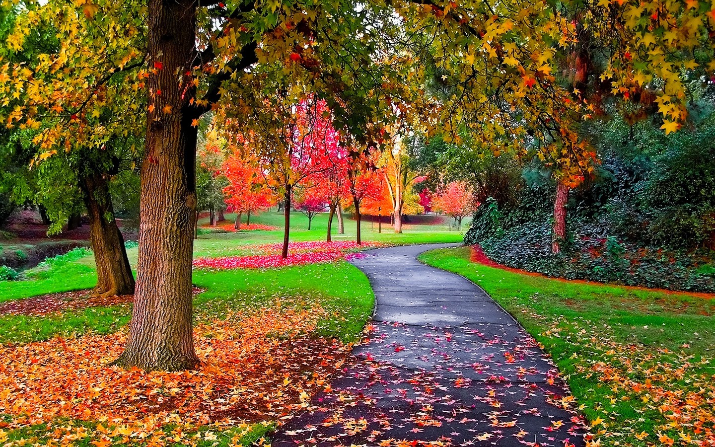 Wallpaper Desk Autumn Desktop