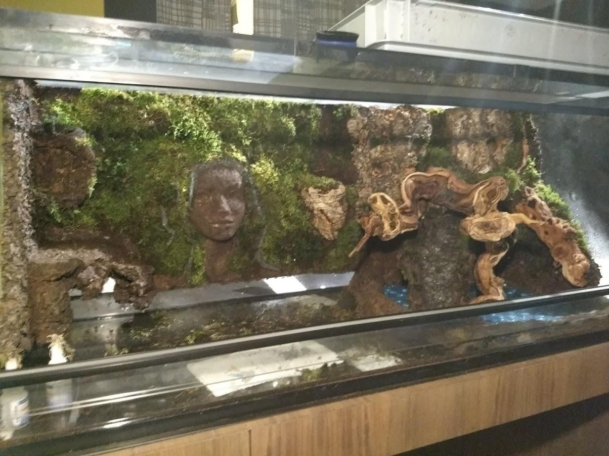 Using A Paludarium Background To Get Over My Divorce Landscaping