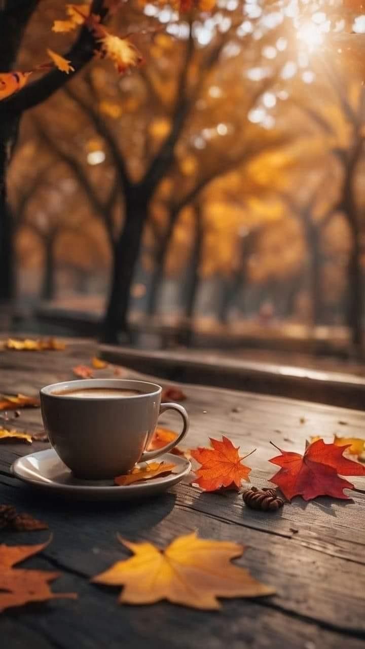 Best Stunning And Dreamy Fall Phone Wallpaper Artofit
