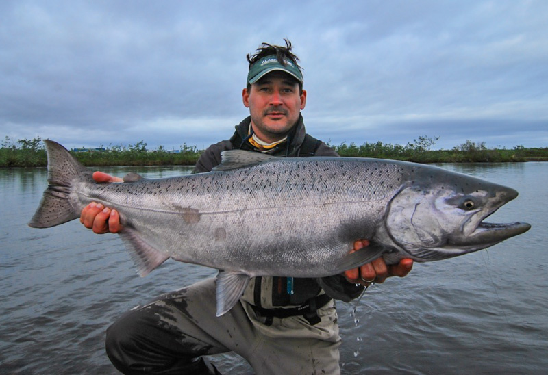 Alaska West King Salmon HD Wallpaper