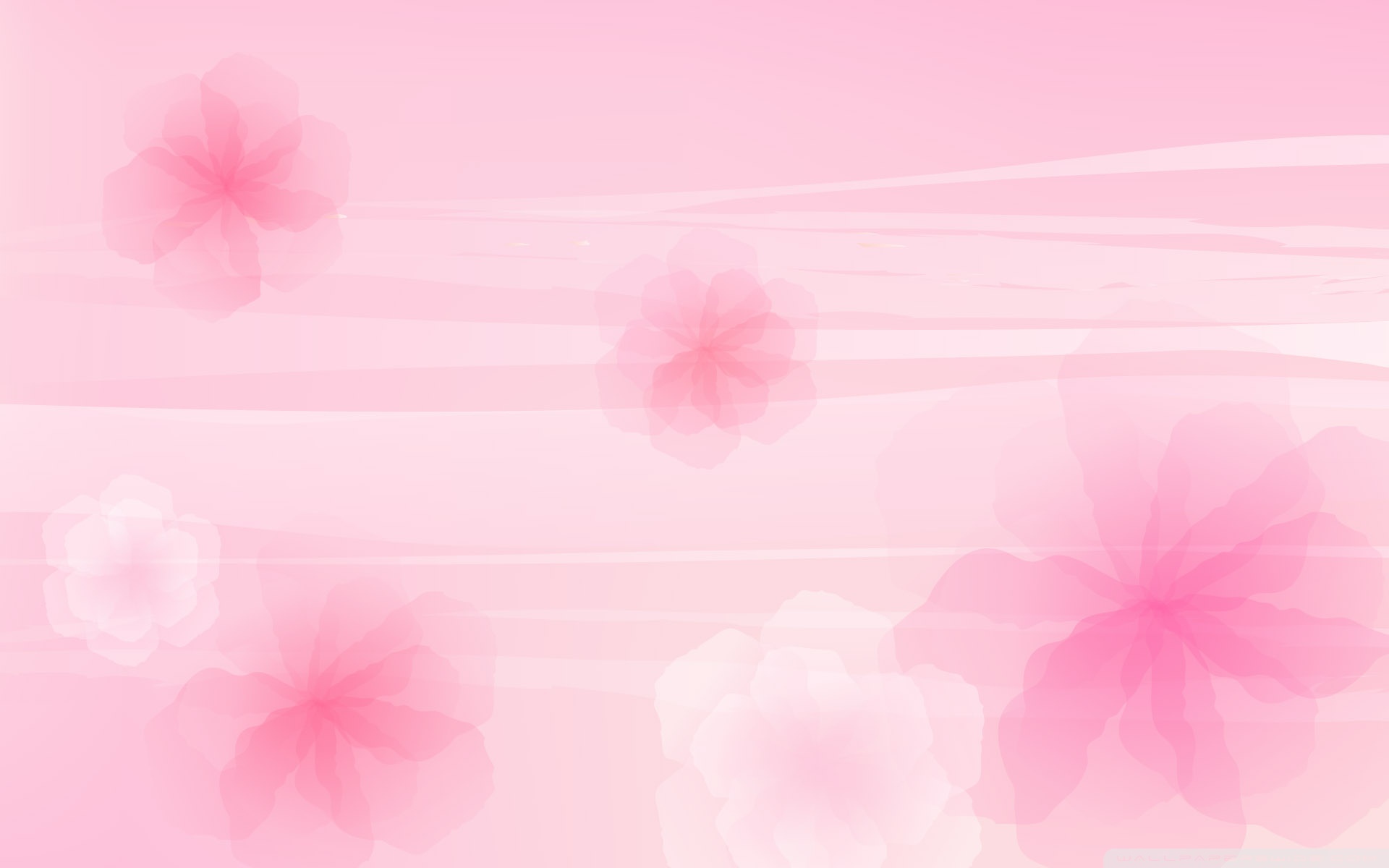 Soft Pink Floral Wallpaper Background