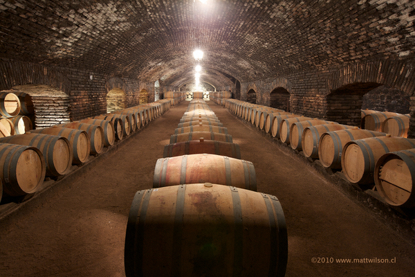 Vinography Image The Cellar A Wine