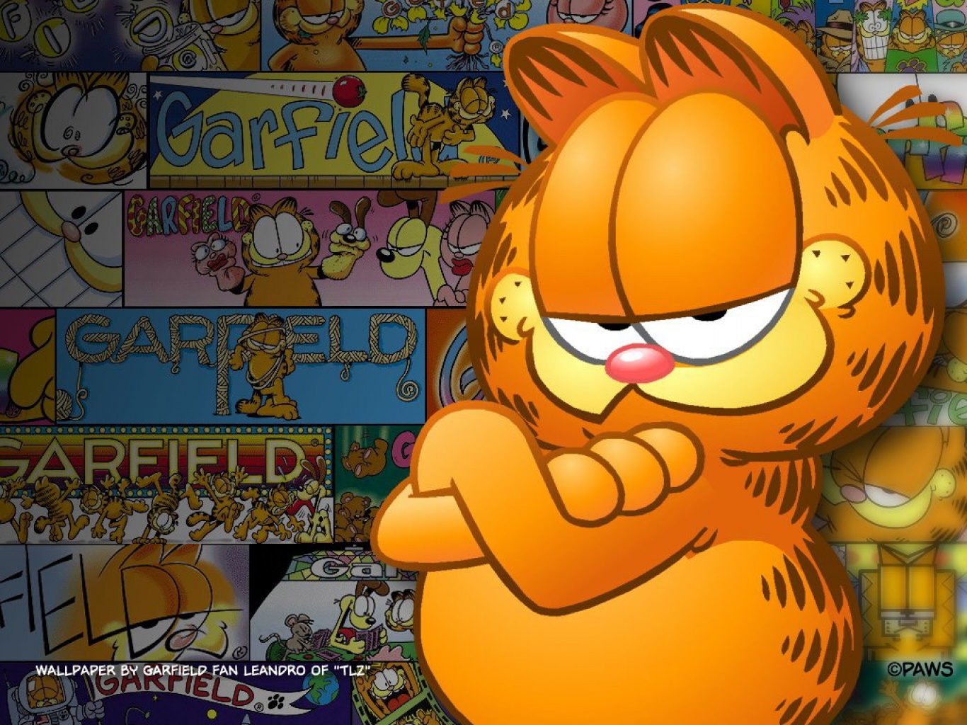 Wallpaper Garfield The Cat Posing Elegantly Child