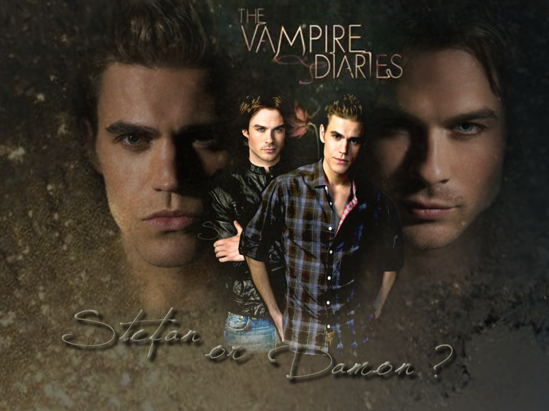 Stefan or Damon   Stefan Salvatore Wallpaper 21473191 800x600