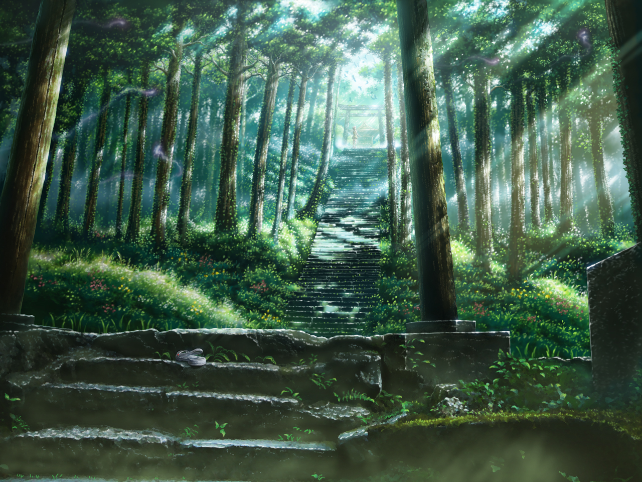 Anime Landscape Forest Background