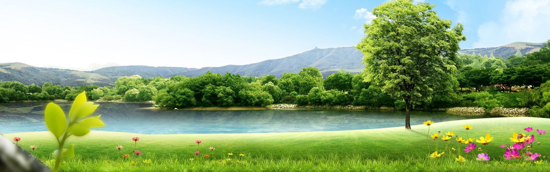 Beautiful Swan Lake Landscapes Poster Background Landscape