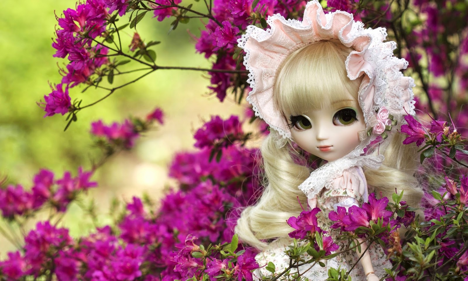 Cute Dolls HD Walllpapers Wallpaper