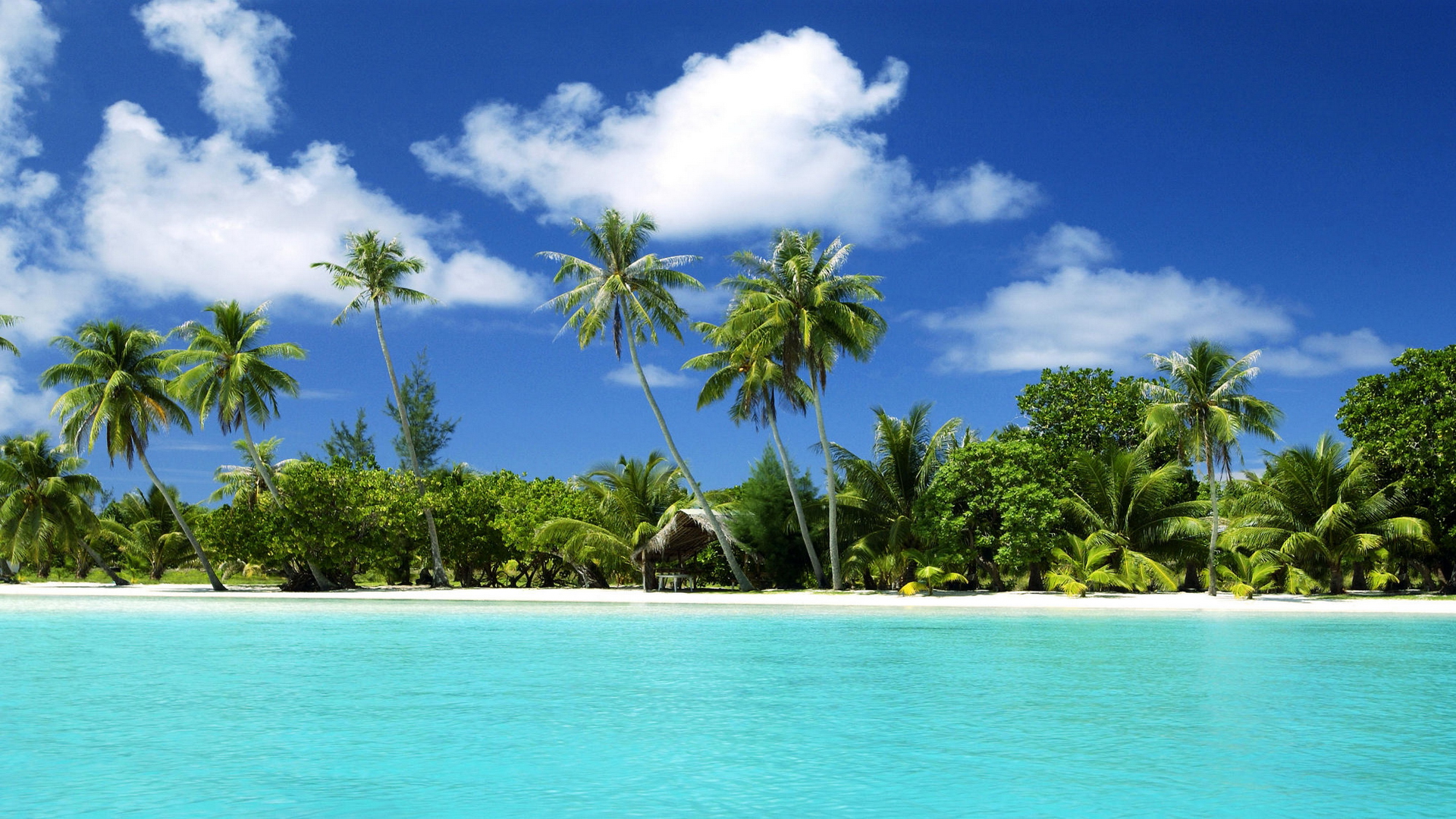 Tropical Beach Wallpaper HD Desktop