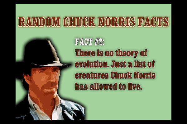 Chuck Norris Facts Pictures Image Others