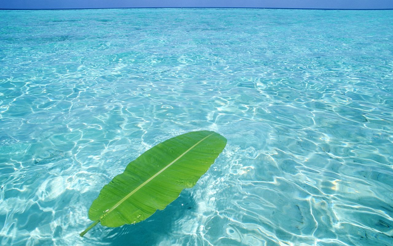Clear Water Wallpaper Top Background